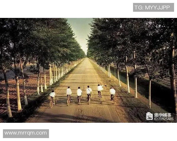 岁月无情足球明星的感人故事与回忆合集 岁月无情足球明星的感人故事与回忆合集