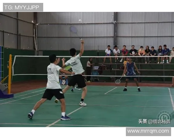 重庆羽毛球队防反战术革新探秘助力竞技水平提升 重庆羽毛球队防反战术革新探秘助力竞技水平提升