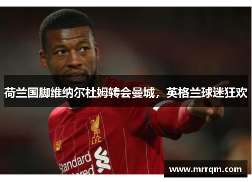 荷兰国脚维纳尔杜姆转会曼城，英格兰球迷狂欢
